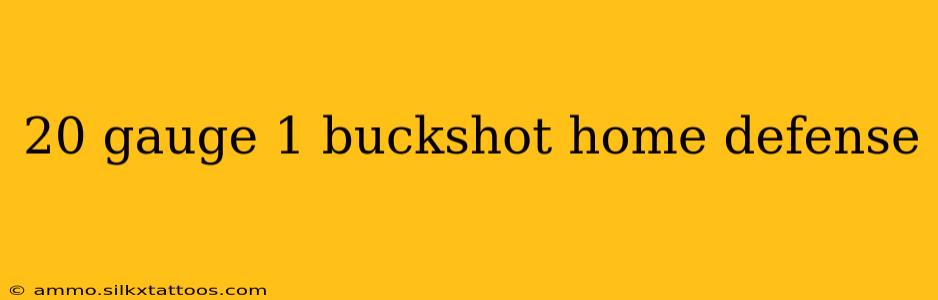 20 gauge 1 buckshot home defense