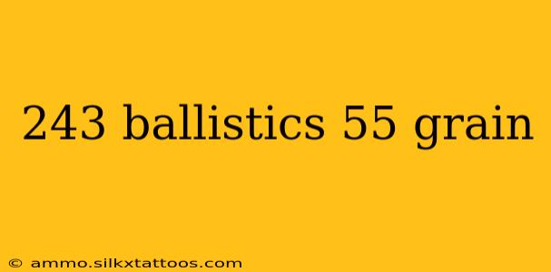 243 ballistics 55 grain