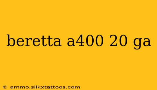 beretta a400 20 ga