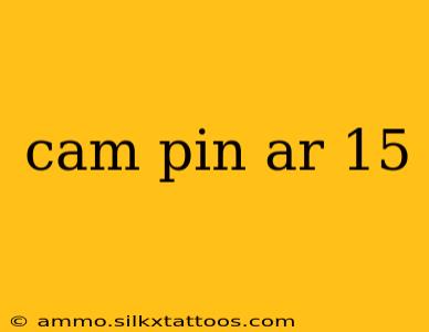 cam pin ar 15