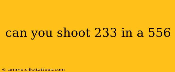 can you shoot 233 in a 556