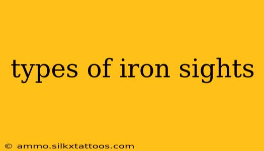 types of iron sights