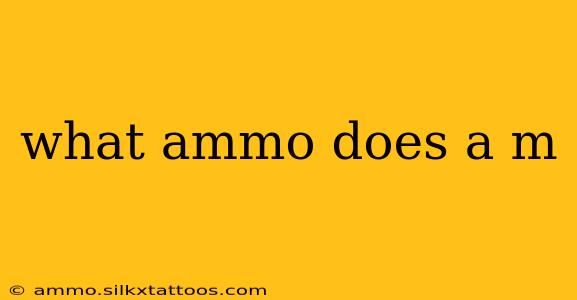 what ammo does a m