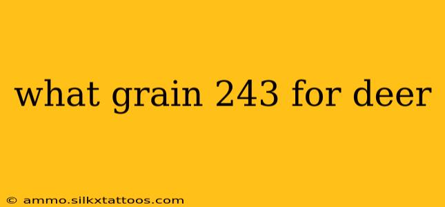 what grain 243 for deer